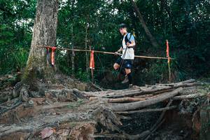 BIB: 
                            <button type="button" onclick="openModal(27316053)" class="btn btn-primary btn-sm float-right btn-popup" data-toggle="modal" data-target=".modal-high-quality">
                        <i class="fas fa-shopping-cart"></i> Add to Cart
                    </button>
                                            <button type="button" onclick="isThisMe(27316053, true)" class="btn btn-success btn-sm float-right btn-popup btn-isme hidden" data-toggle="tooltip" data-placement="bottom" title="นี่คือรูปของคุณใช่ไหม คลิกที่นี่เพื่อเอาเข้าอัลบั้ม">
                        <i class="fas fa-plus"></i> Add to album
                    </button>
                    <button type="button" onclick="isThisMe(27316053, false)" class="btn btn-warning btn-sm float-right btn-popup btn-isnotme hidden">
                        <i class="fas fa-ban"></i> Remove from album
                    </button>